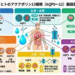 13種類のアクアポリン