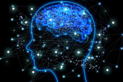 世界最高峰の研究所MITが証明した「40Hzの光と音」の奇跡
